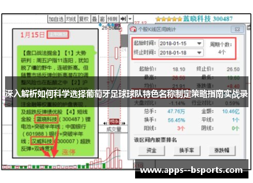 深入解析如何科学选择葡萄牙足球球队特色名称制定策略指南实战录